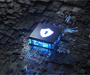 Secure chip