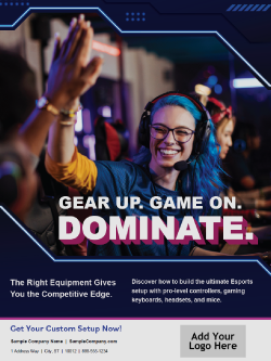 D&H - Template: Understanding Gaming Peripherals